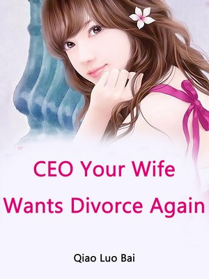 CEO, Your Wife Wants Divorce Again