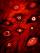Infinite Bloodline Evolution: Start By Building A Great Monster Clan