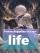 Hajime:Beginning of a new life